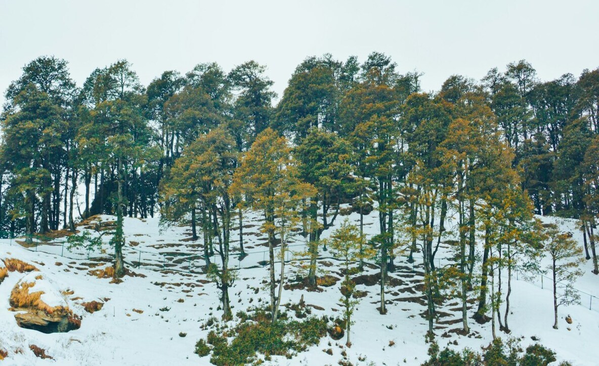 Cherrapunji Cherrapunji, Cherrapunji India, Cherrapunji best time to visit,